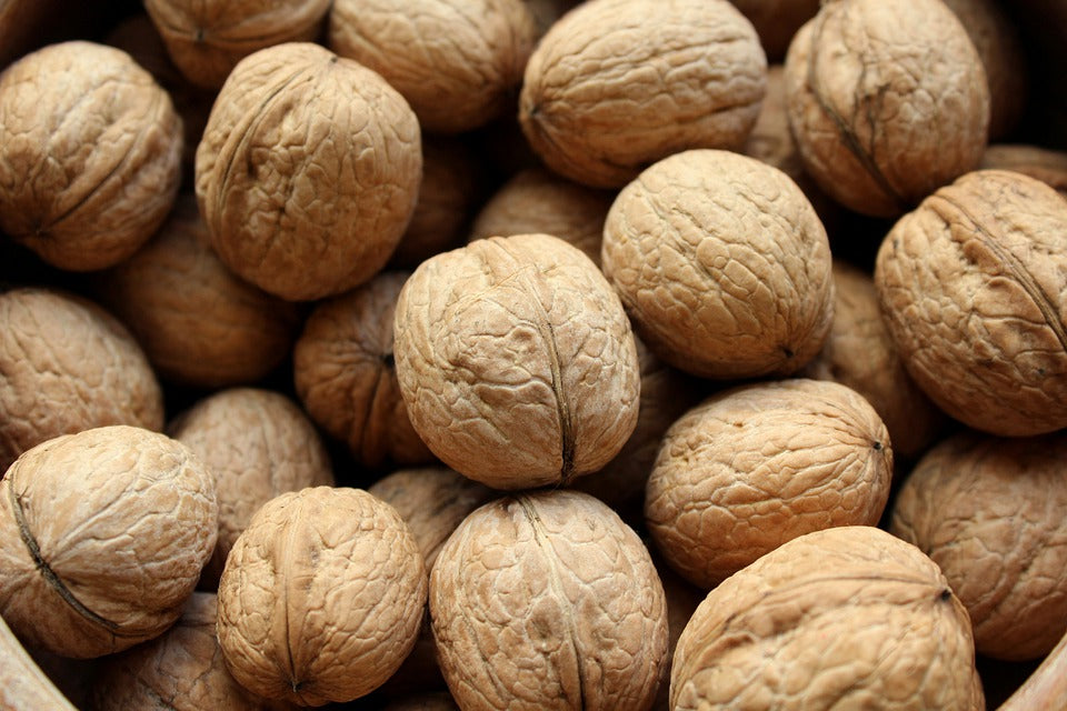 What's So Great About Walnuts