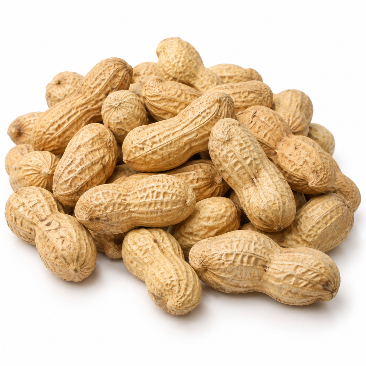 Jumbo Raw Peanuts in Shell – Natural, Unroasted & Unsalted, Great for Snacking and Wildlife Feeding