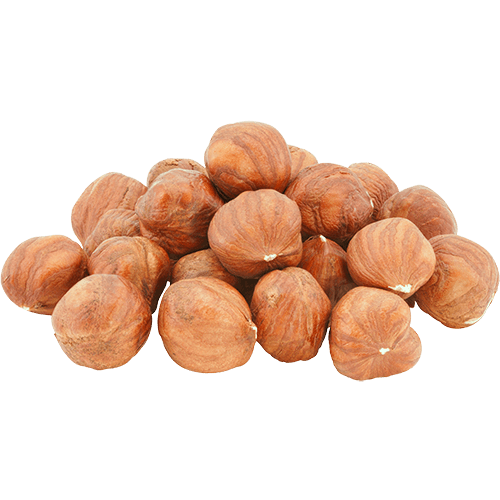 Filbert (Hazelnut) Shells (BULK)