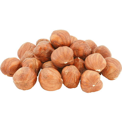 Raw Shelled Hazelnuts Online Buy Filberts in Shell We Got Nuts