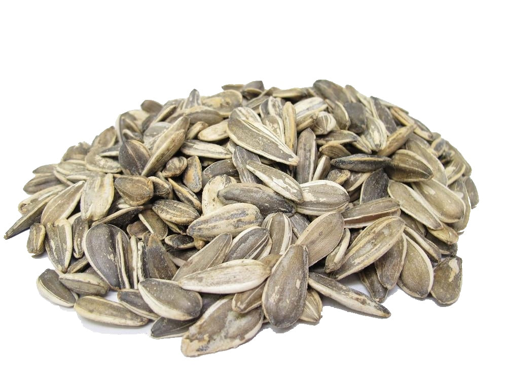 Roasted Unsalted Israeli Sunflower Seeds (In Shell)