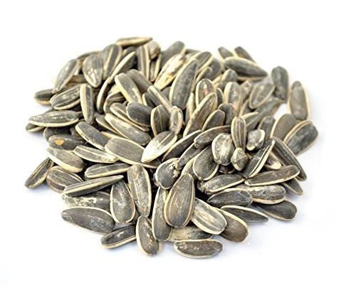 Roasted Salted Israeli Sunflower Seeds (In Shell)