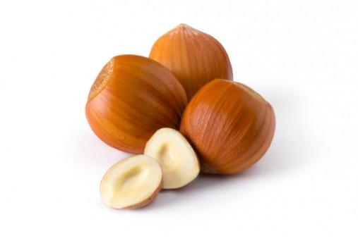 Filbert (Hazelnut) Shells (BULK)