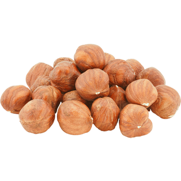 Shelled Raw Filberts (Hazelnuts)