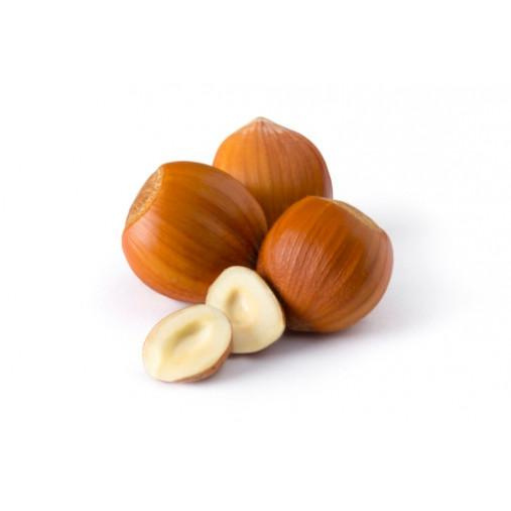 Freshly Harvested American Grown Raw In-Shell Hazelnuts (Filberts) - Large 5lb Bag