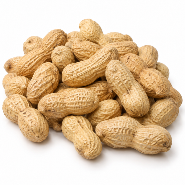 Jumbo Raw Peanuts in Shell – Natural, Unroasted & Unsalted, Great for Snacking and Wildlife Feeding