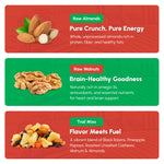 Snackademia: Back-to-School Brain Fuel Kit - Raw almonds, raw walnuts, trail mixes