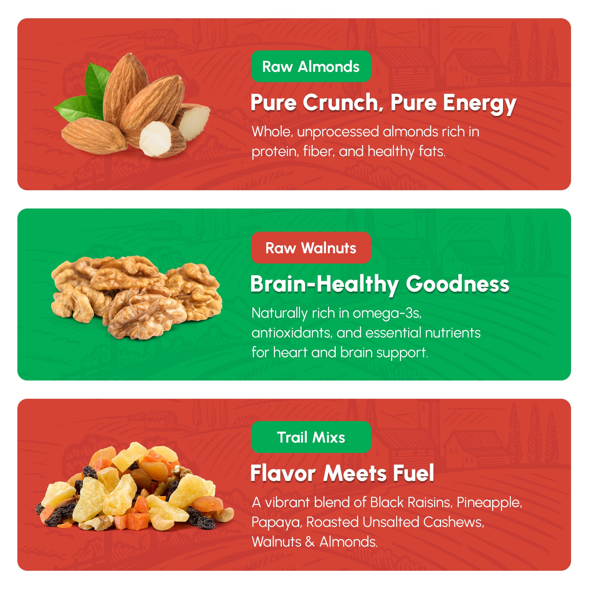 Snackademia: Back-to-School Brain Fuel Kit - Raw almonds, raw walnuts, trail mixes