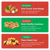 Snackademia: Back-to-School Brain Fuel Kit - Raw almonds, raw walnuts, trail mixes