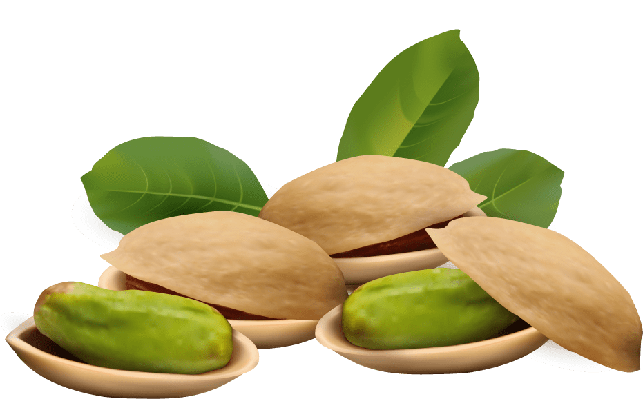 Order Nuts Online Buy Bulk Nuts & Dried Fruit Online We Got Nuts