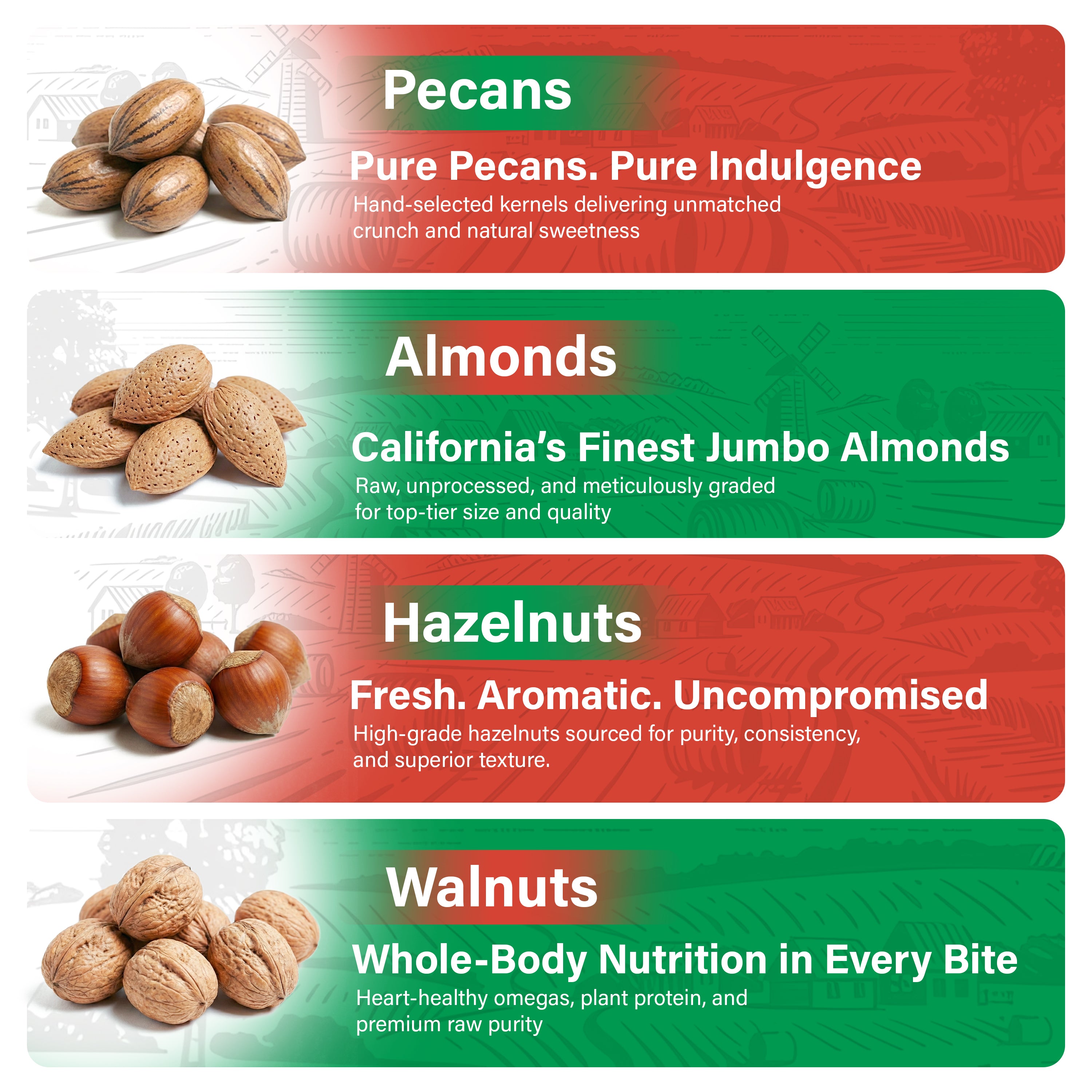 Walnuts in shell - filberts in shell -almonds in shell - pecans in shell