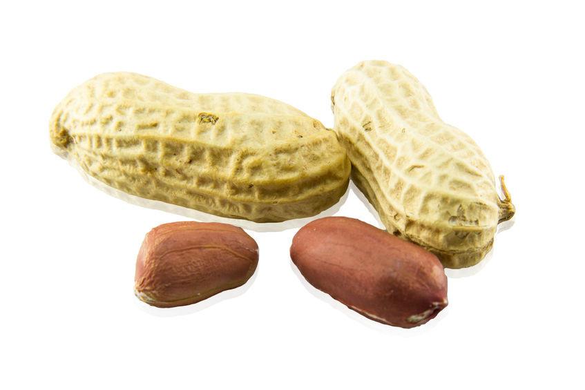 Jumbo Raw Peanuts in Shell – Natural, Unroasted & Unsalted, Great for Snacking and Wildlife Feeding