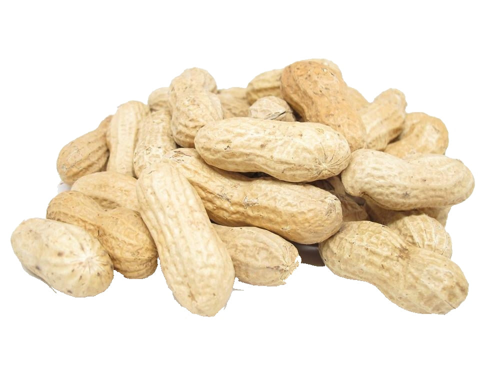 Jumbo Roasted Unsalted Peanuts In Shell