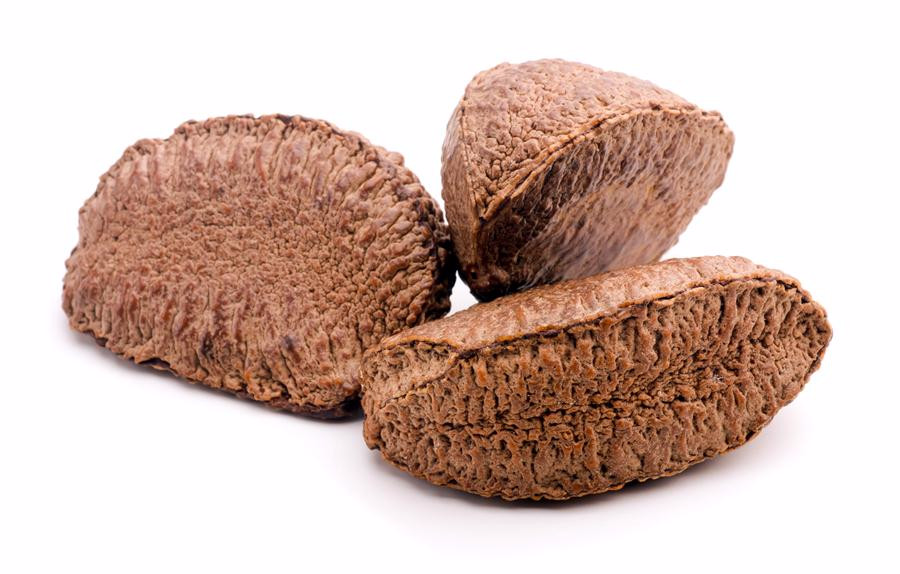 Brazil online nut shell